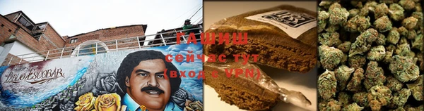 гидра Болотное